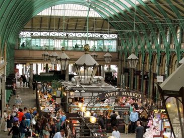 Explore the World Like Never Before