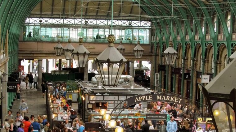 Explore the World Like Never Before