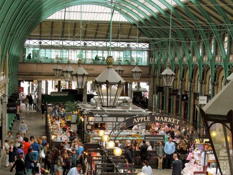 Explore the World Like Never Before