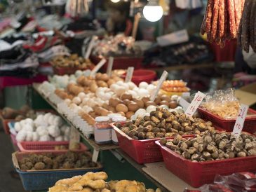 Travel Smarter with Real Stories