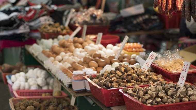 Travel Smarter with Real Stories