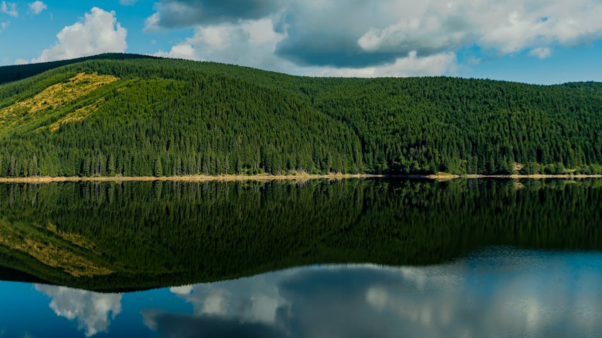 peaceful natural scenery with still water reflecting mountains and trees under soft daylight