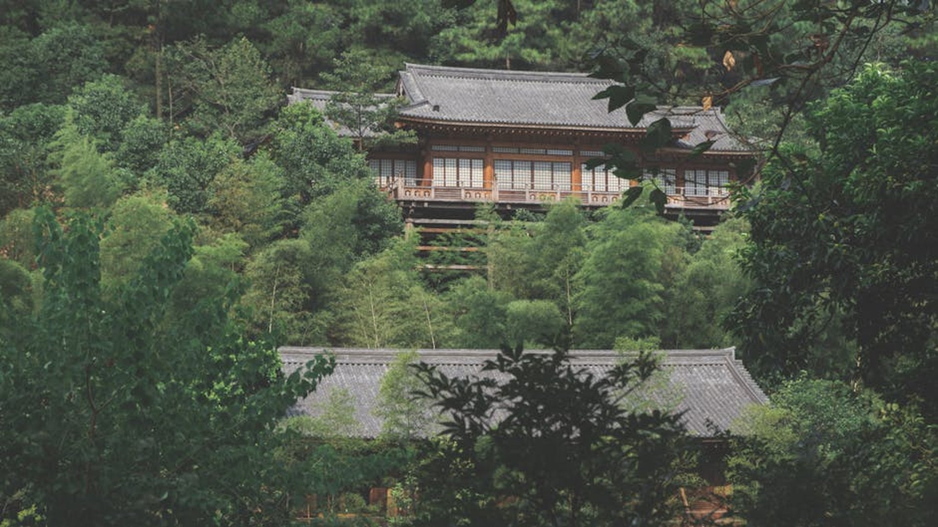 mount koya mountain temple complex ancient buddhis