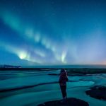 Local Food Tips for First-Time Travelers