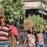 Find Your Perfect Escape with Tailored Journeys