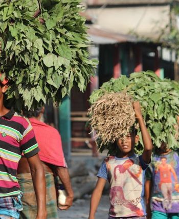 Explore Authentic Cultures Beyond the Tourist Trail