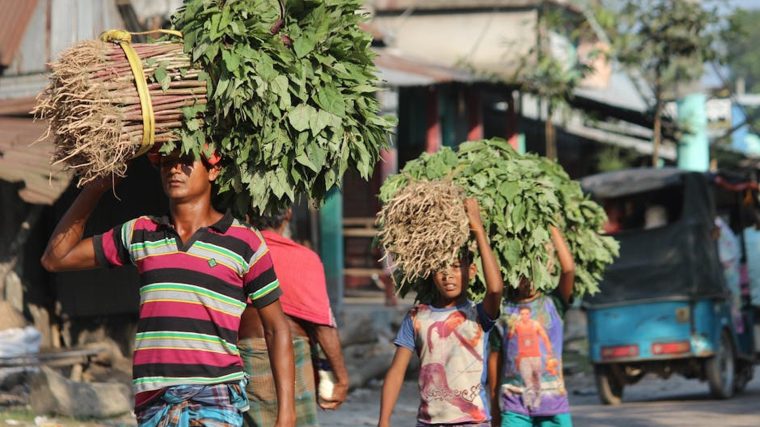 Explore Authentic Cultures Beyond the Tourist Trail