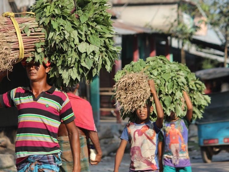 Explore Authentic Cultures Beyond the Tourist Trail